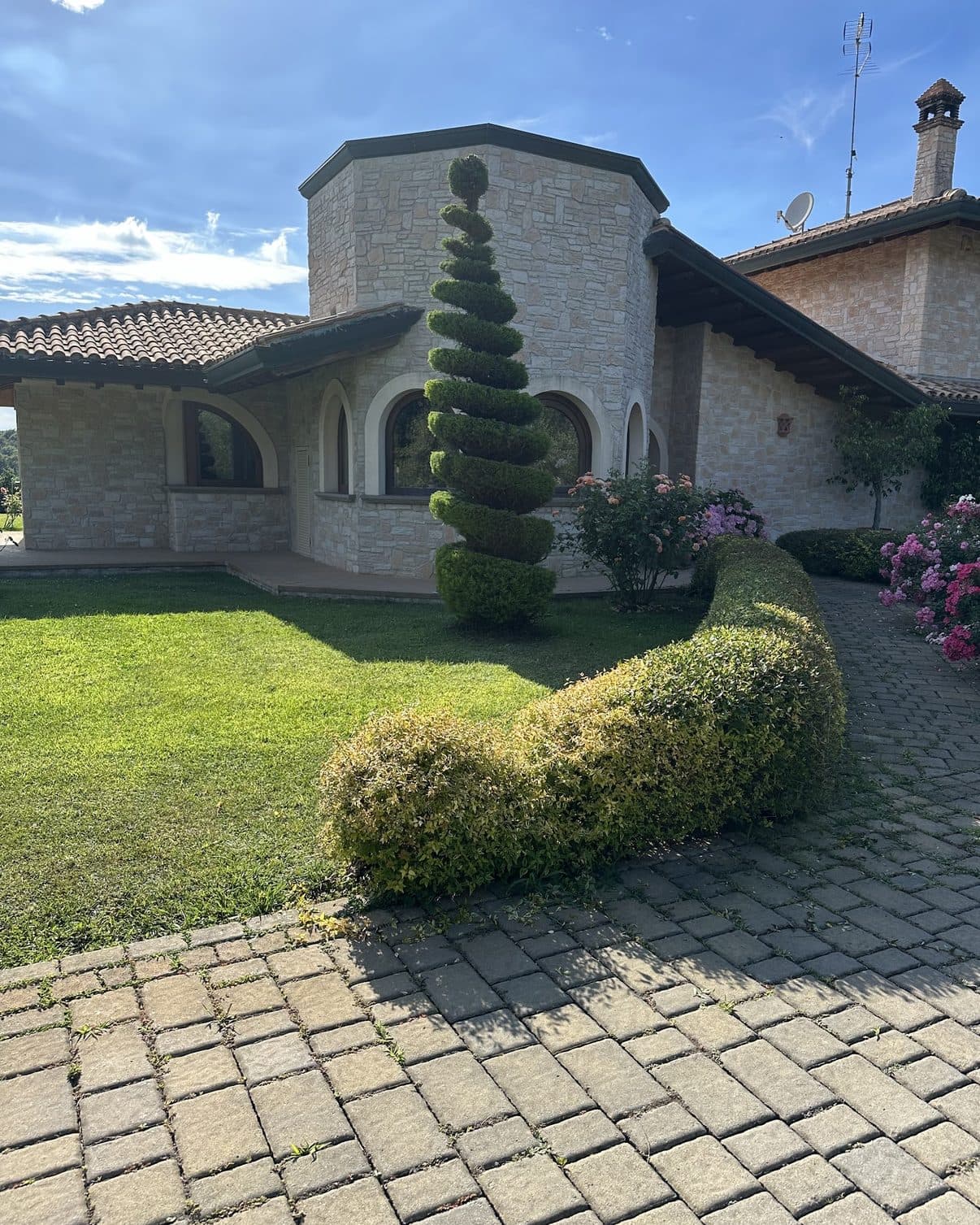 Cipresso potato a spirale davanti a una casa in pietra, con siepe bassa sagomata e vialetto in sanpietrini