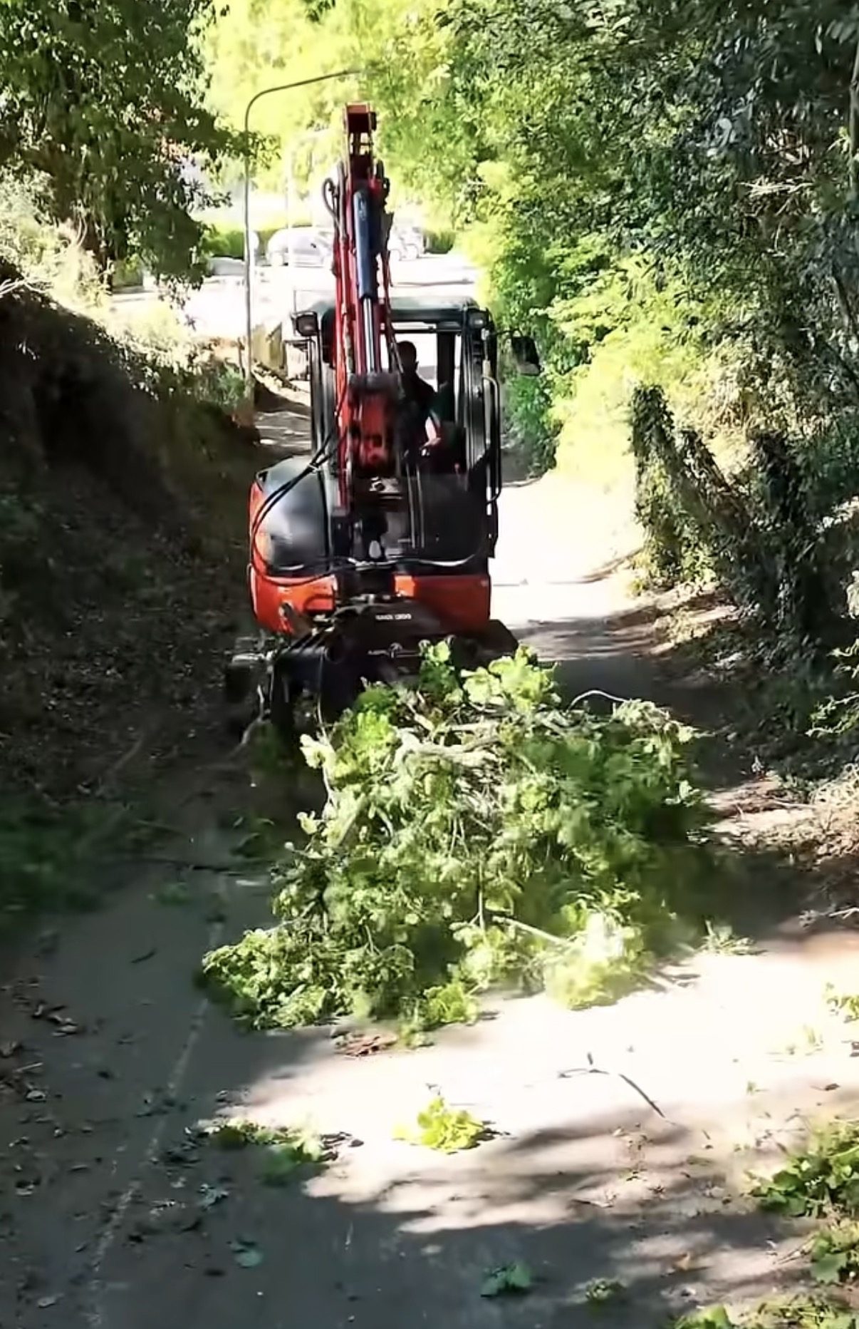 Miniescavatore che raduna la ramaglia tagliata